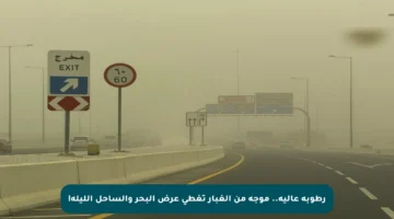 رطوبة عالية.. موجة من الغبار تغطي عرض البحر والساحل الليلة!